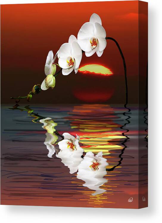 Orchid Canvas Print featuring the painting Sunset Orchids by Angela Stanton