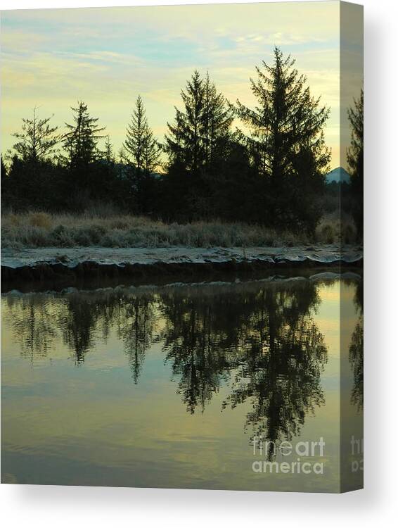 Trees Canvas Print featuring the photograph Symmetry by Gallery Of Hope 