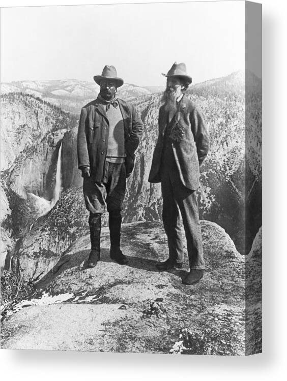 1903 Canvas Print featuring the photograph Teddy Roosevelt and John Muir by Underwood Archives