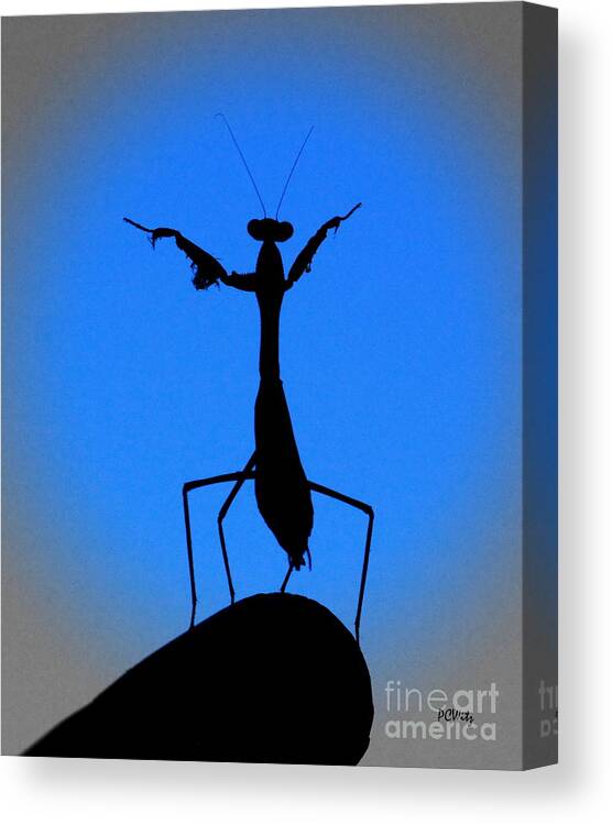 Conductor Canvas Print featuring the photograph The Conductor by Patrick Witz