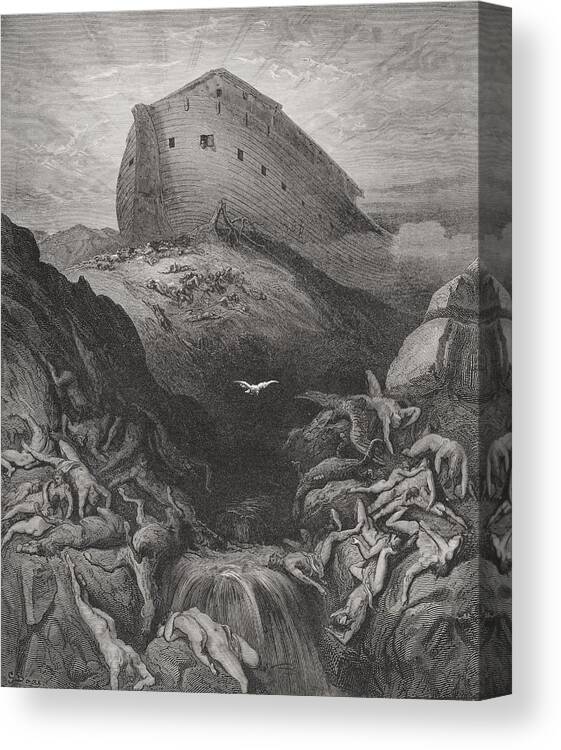 Noah's Canvas Print featuring the painting The Dove Sent Forth From The Ark by Gustave Dore