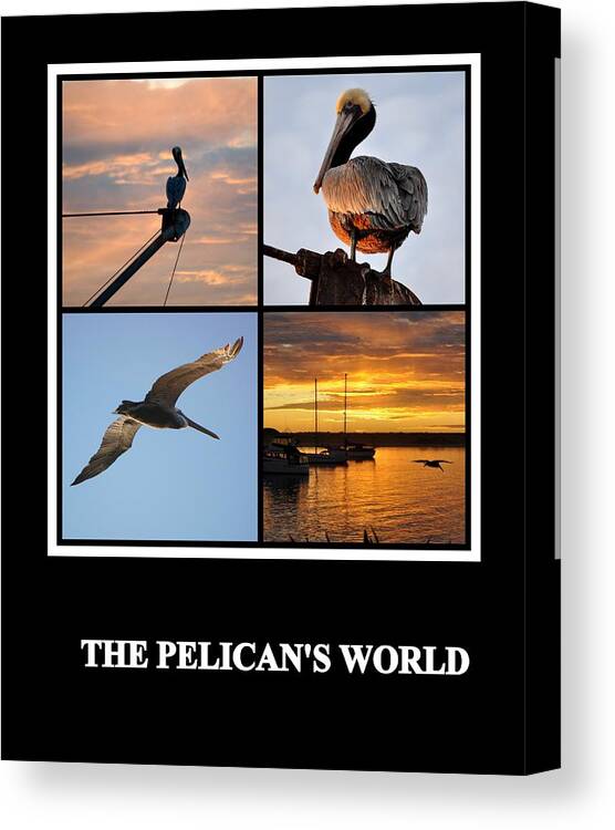 Posters Canvas Print featuring the photograph The Pelican's World by AJ Schibig