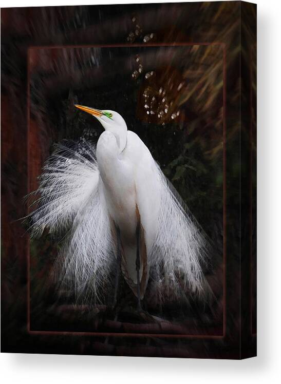 Egret Canvas Print featuring the photograph The Prince by Melinda Hughes-Berland