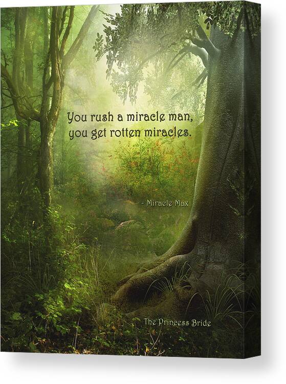 Featured Canvas Print featuring the digital art The Princess Bride - Rotten Miracles by Paulette B Wright