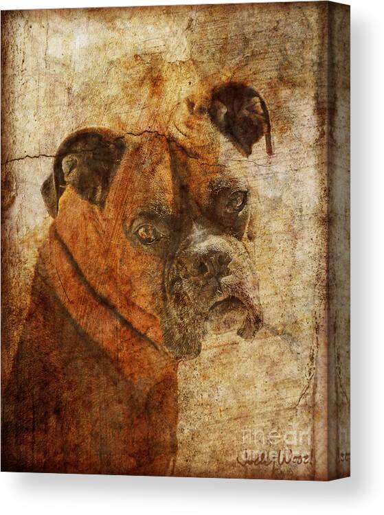 Dog Canvas Print featuring the digital art The Question by Judy Wood