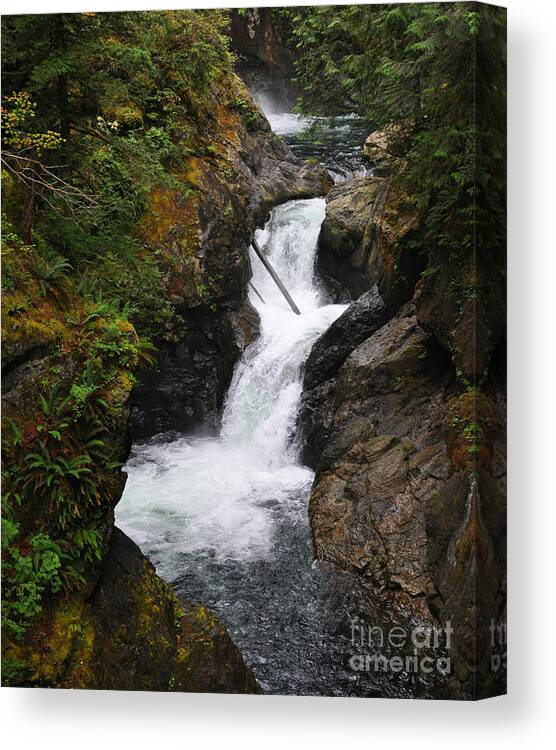 Water Canvas Print featuring the photograph The Rapids by Kirt Tisdale