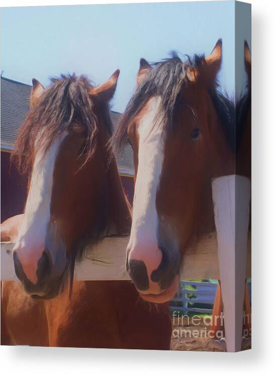 Horse Canvas Print featuring the painting The Shire Brothers Horses by Smilin Eyes Treasures