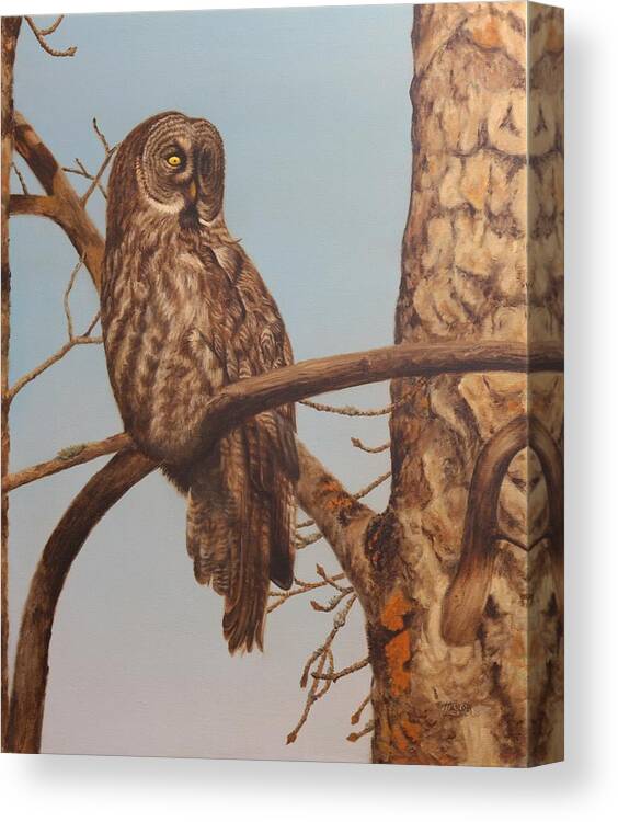 Great Grey Owl Canvas Print featuring the painting The Surveyor by Tammy Taylor