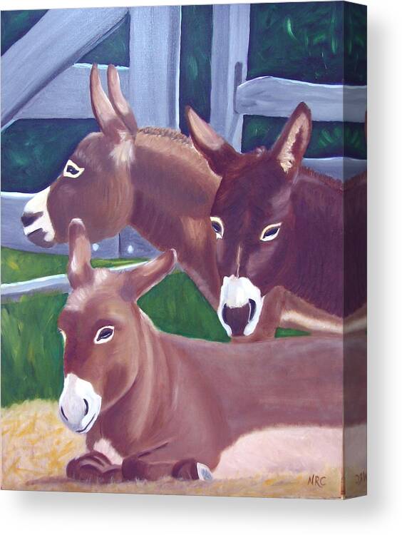 Donkey Canvas Print featuring the photograph Three Donkeys by Natalie Rotman Cote