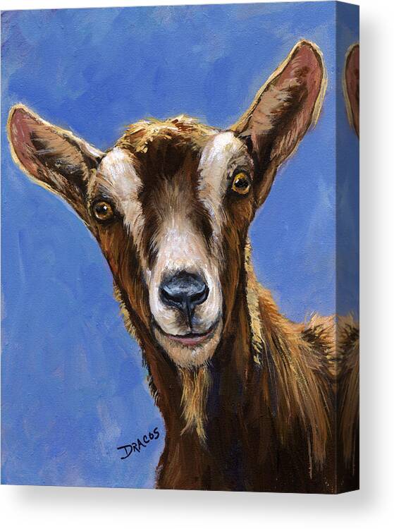 Goats Canvas Print featuring the painting Toggenburg Goat on Blue by Dottie Dracos