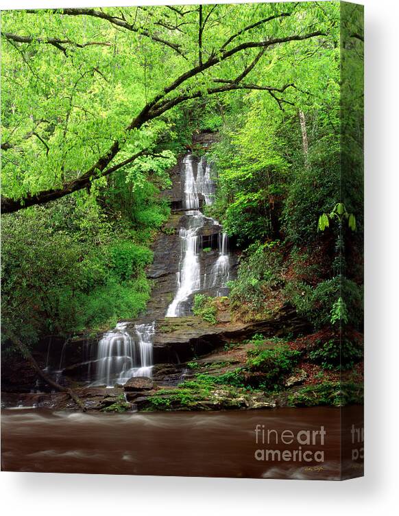 Waterfall Canvas Print featuring the photograph Tom Branch Falls 2009 by Matthew Turlington