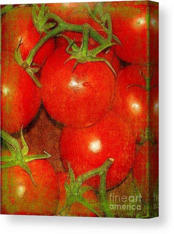 Tomatoes Canvas Print featuring the photograph Tomatoes on the Vine by Judi Bagwell