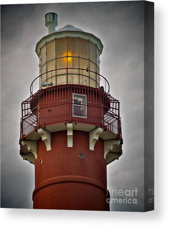 Lbi Canvas Print featuring the photograph Top of Barney 2007 - Hawk's Perch by Mark Miller