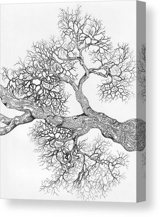 Tree Canvas Print featuring the digital art Tree 8 by Brian Kirchner