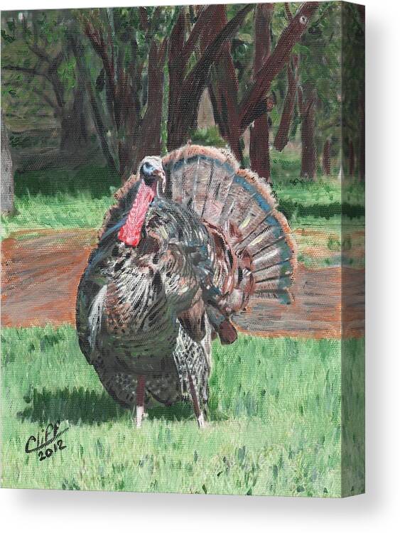 Landscape Canvas Print featuring the painting Turkey by Cliff Wilson