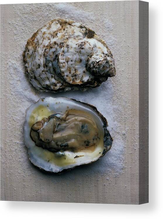 Cooking Canvas Print featuring the photograph Two Oysters by Romulo Yanes