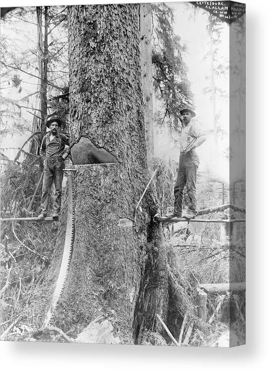Human Canvas Print featuring the photograph Us Forestry by Library Of Congress