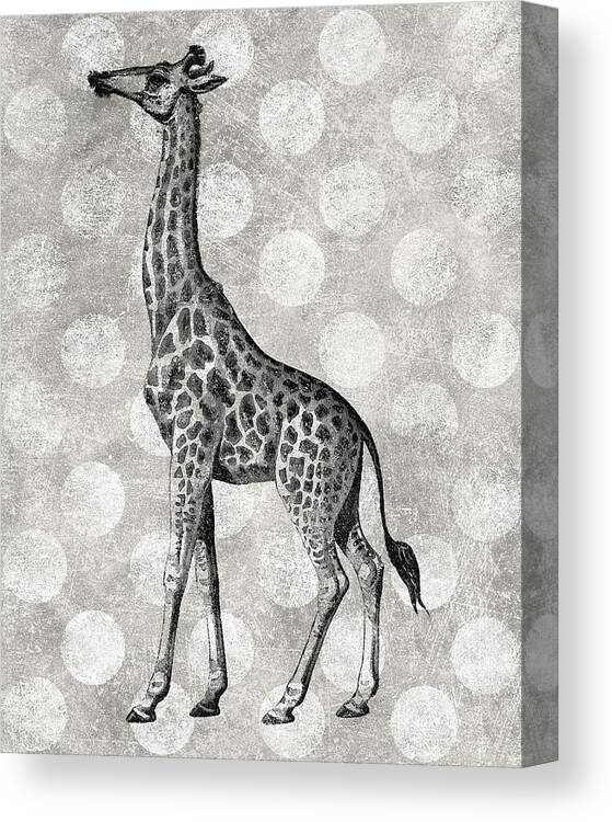 Vintage Giraffe Canvas Print featuring the digital art Gray Giraffe by Flo Karp