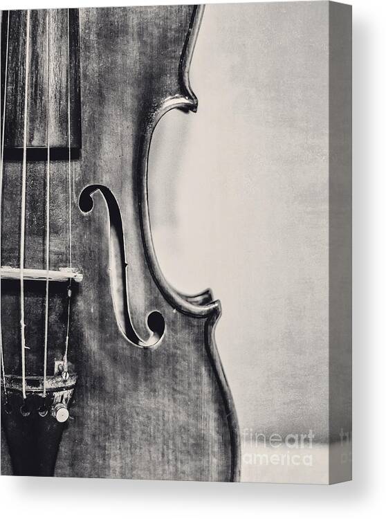 Violin Canvas Print featuring the photograph Vintage Violin Portrait in Black and White by Kadwell Enz