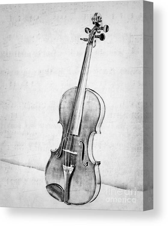 Violin Canvas Print featuring the photograph Violin in Black and White by Kadwell Enz