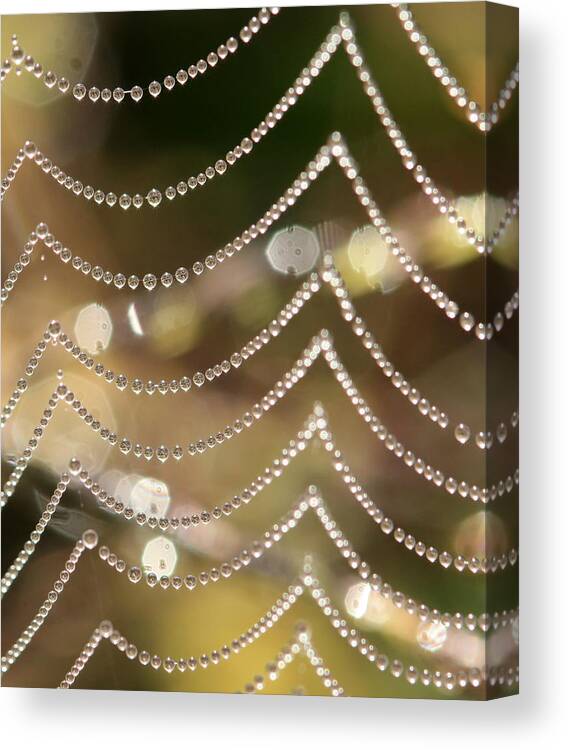 Web Canvas Print featuring the photograph Web 20131022-107 by Carolyn Fletcher