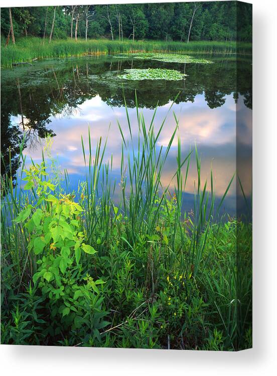 Sunset Canvas Print featuring the photograph Wetland Serenity by Ray Mathis