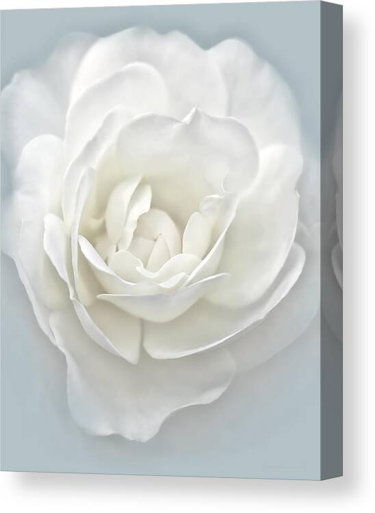 Rose Canvas Print featuring the photograph White Rose Flower Silver Blue by Jennie Marie Schell