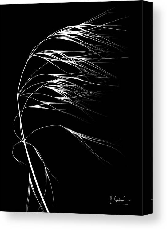 Biological Canvas Print featuring the photograph Wild Grass Seed Heads by Albert Koetsier X-ray/science Photo Library
