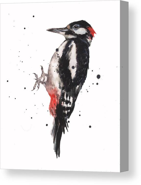 Woodpecker Canvas Print featuring the painting Wise Woody by Alison Fennell