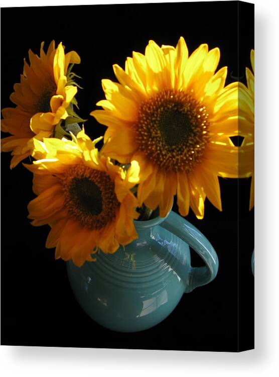 Yellow Canvas Print featuring the photograph Yellow Flowers in Fiesta Pitcher by Patricia Januszkiewicz