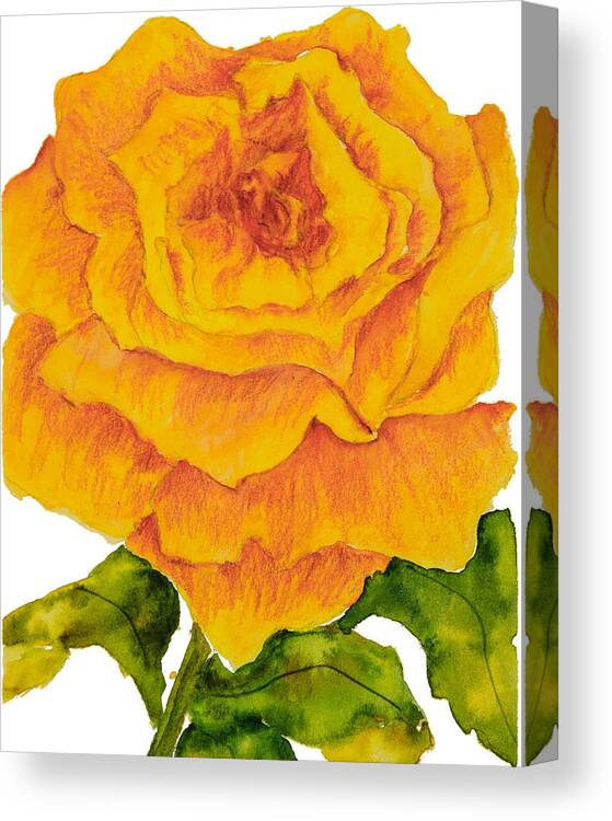 Yellow Rose Canvas Print featuring the painting Yellow Rose by Sally Quillin