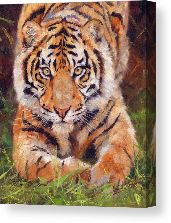 Tiger Canvas Print featuring the painting Young Amur Tiger by David Stribbling