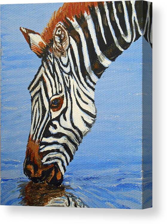 Zebra Canvas Print featuring the painting Zebra Drink by Sandra Wilson