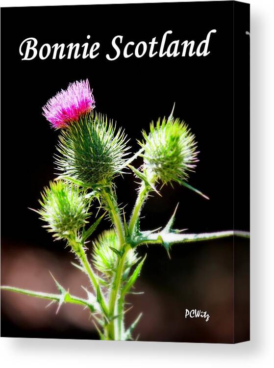 Bonnie Scotland Canvas Print featuring the photograph Bonnie Scotland by Patrick Witz