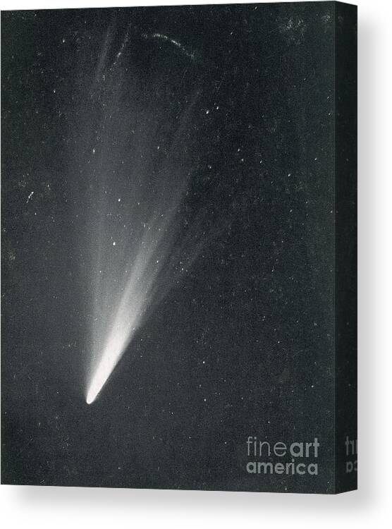 Science Canvas Print featuring the photograph Comet West, 1976 #1 by Science Source
