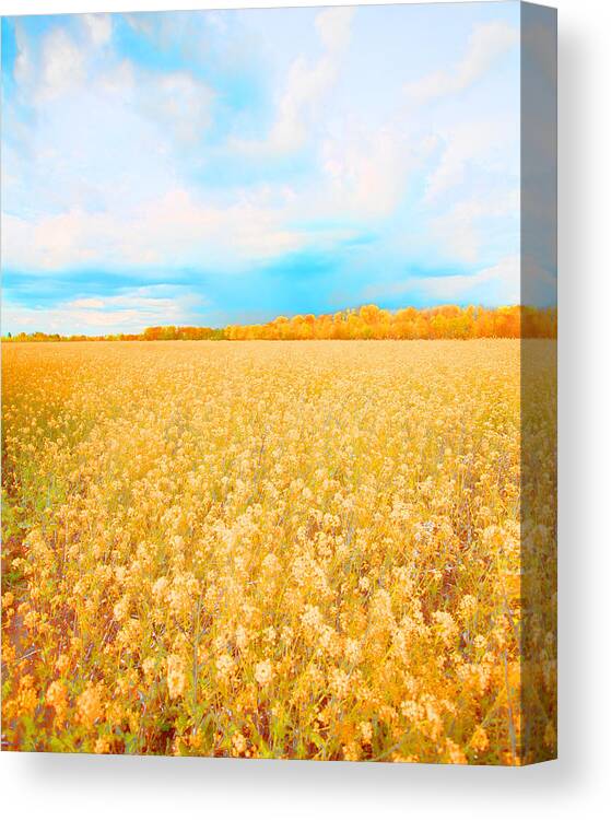 Rural Photo Canvas Print featuring the photograph On a Clear Day by Bonnie Bruno