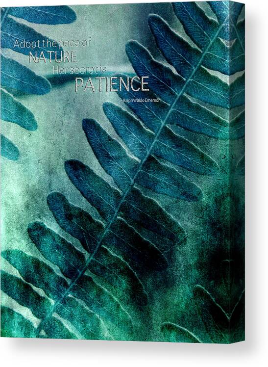 Nature Canvas Print featuring the photograph Pace of Nature by Bonnie Bruno