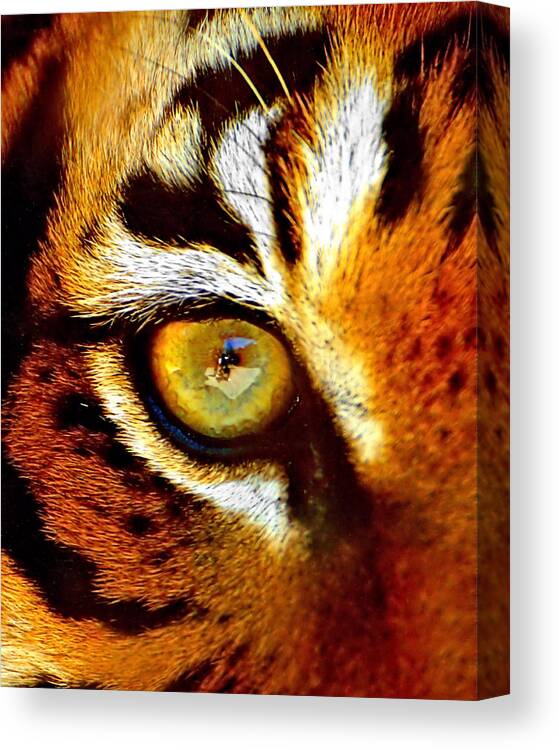 Tiger Canvas Print featuring the photograph Tigers Eye #1 by Marlo Horne