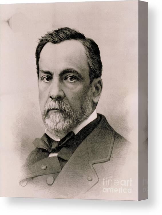 Science Canvas Print featuring the photograph Louis Pasteur, French Chemist #12 by Science Source
