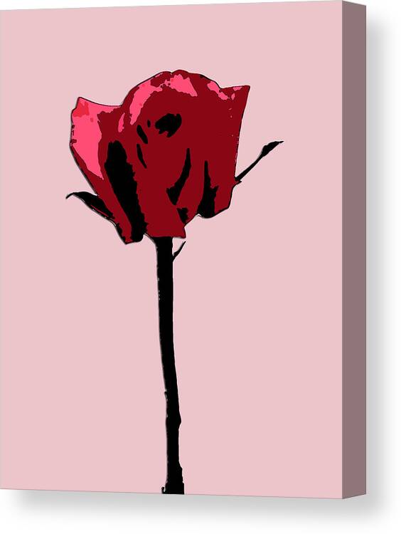 Rose Canvas Print featuring the digital art A Single Rose by Karen Nicholson