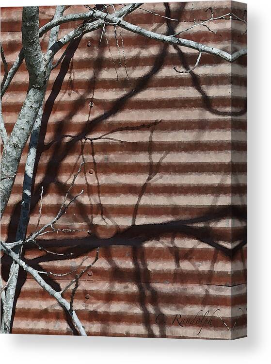 Bare Branches Canvas Print featuring the photograph Shadow Conversation by Cheri Randolph