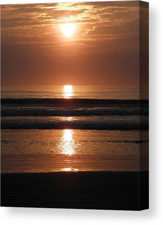 Sunrise Canvas Print featuring the photograph All Lined Up by Kim Galluzzo