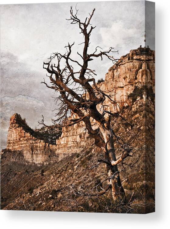 Texture Canvas Print featuring the photograph Barren Mesa Verde by Ray Devlin