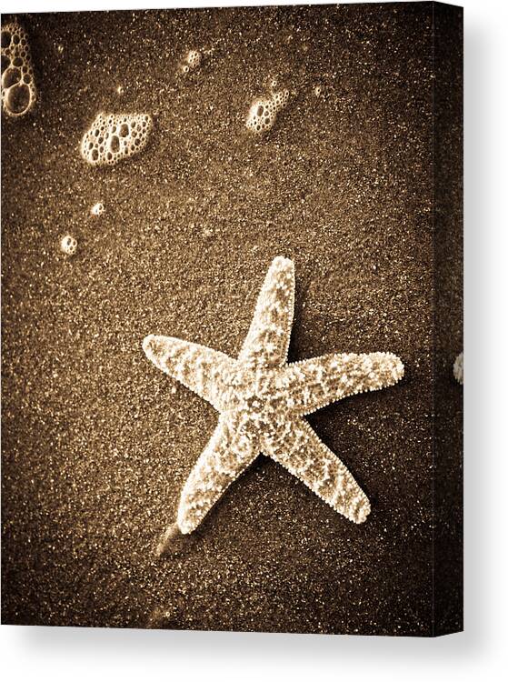 Star Fish Canvas Print featuring the photograph Beach Star by Steve McKinzie