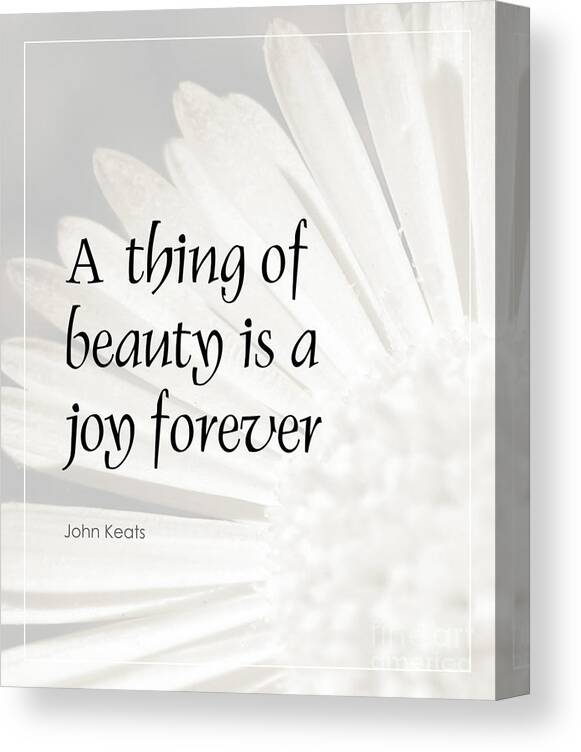 A Thing Of Beauty Is A Joy Forever Canvas Print featuring the photograph A Thing of Beauty Quote by Kate McKenna