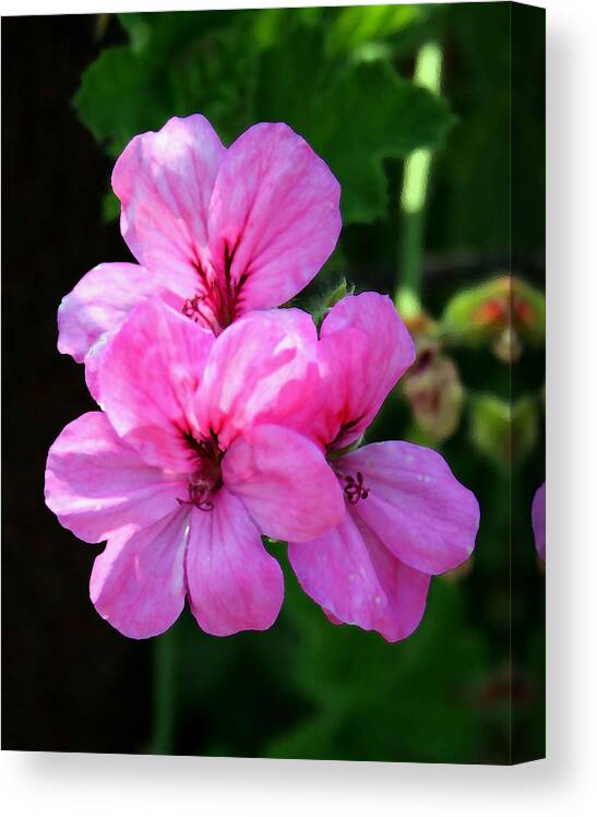 Flower Canvas Print featuring the painting California Flowers2 by Karen Harrison Brown