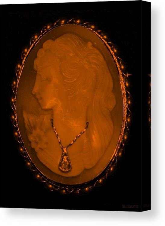 Cameo Canvas Print featuring the photograph CAMEO in ORANGE by Rob Hans