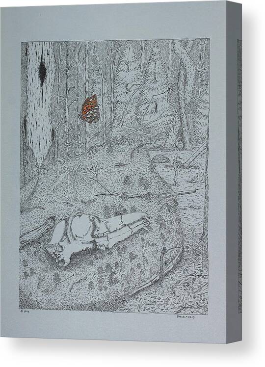 Nature Canvas Print featuring the drawing Canine Skull And Butterfly by Daniel Reed