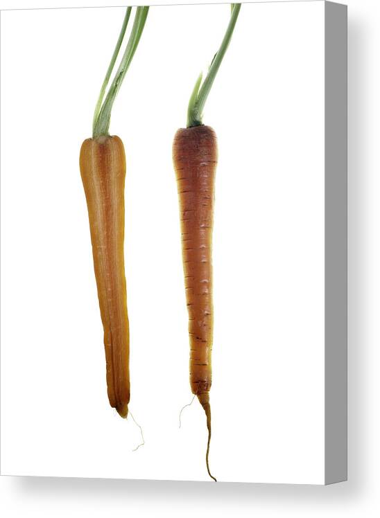 Fruit Canvas Print featuring the photograph Carrot by Nathaniel Kolby
