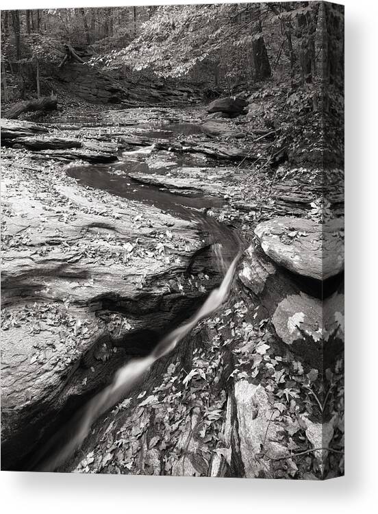 One Of Several Hundred Streams I Have Photographed That Feed As Tributaries To The Chesapeake Bay. Canvas Print featuring the photograph DR Park by Gregory Blank